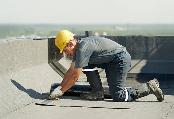 Best Insulation Removal  in Varnell, GA